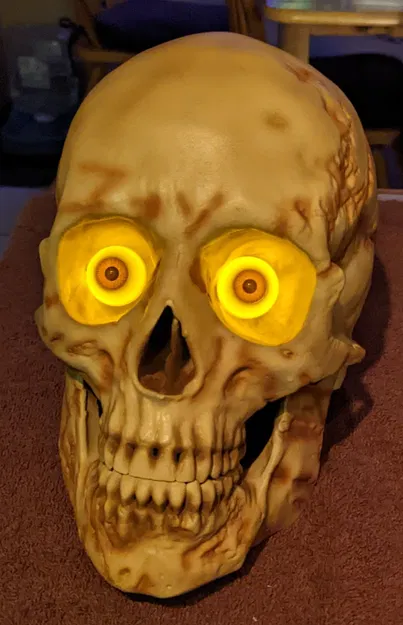 Đầu Lâu Người Lớn Phát Sáng - Image 1