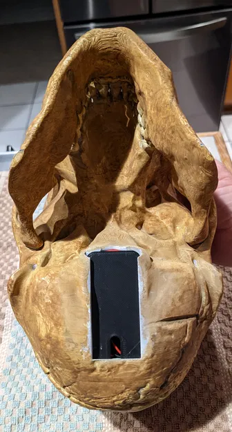 Đầu Lâu Người Lớn Phát Sáng - Image 4