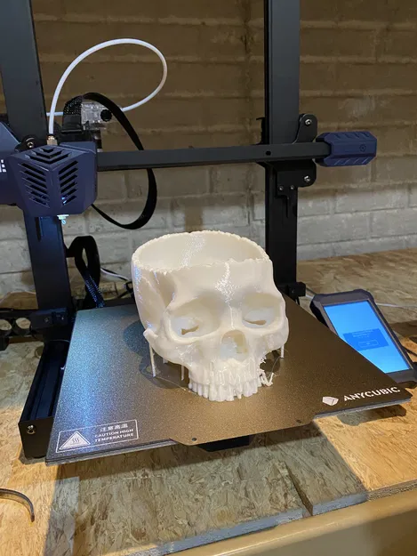 Tô Kẹo Đầu Lâu Thực Tế | Trang Trí Halloween Hình Đầu Lâu - Image 3