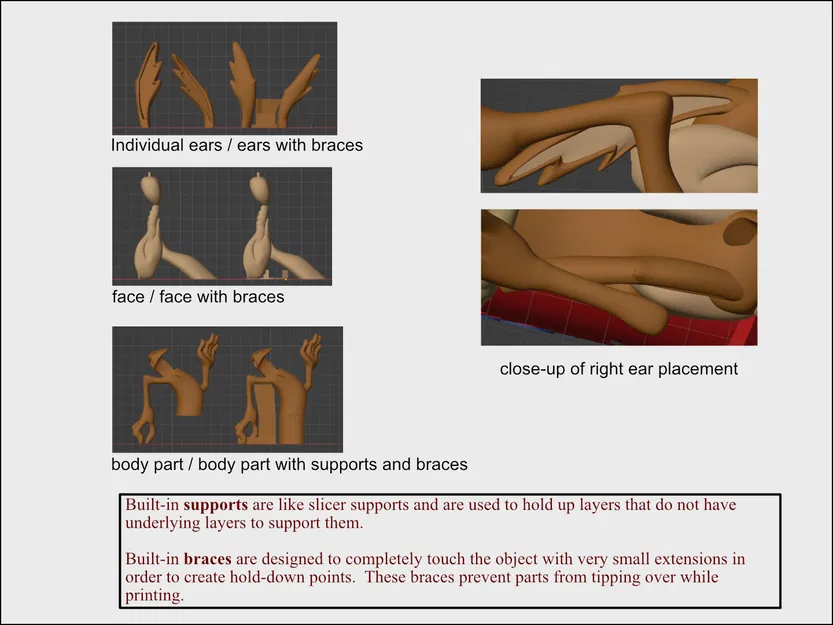 Mô hình Wile E. Coyote 3D - Image 3