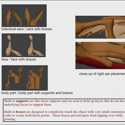 Mô hình Wile E. Coyote 3D