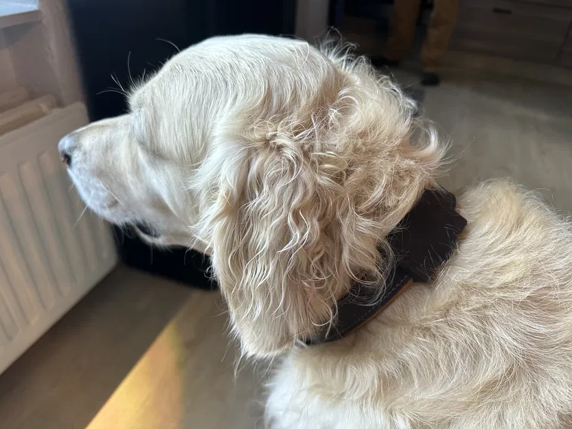 Giá đỡ vòng cổ cho Chipolo One - Image 5