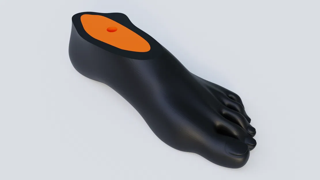 Chân giả - Đơn giản - Image 1