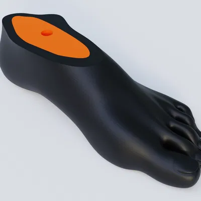 Chân giả - Đơn giản