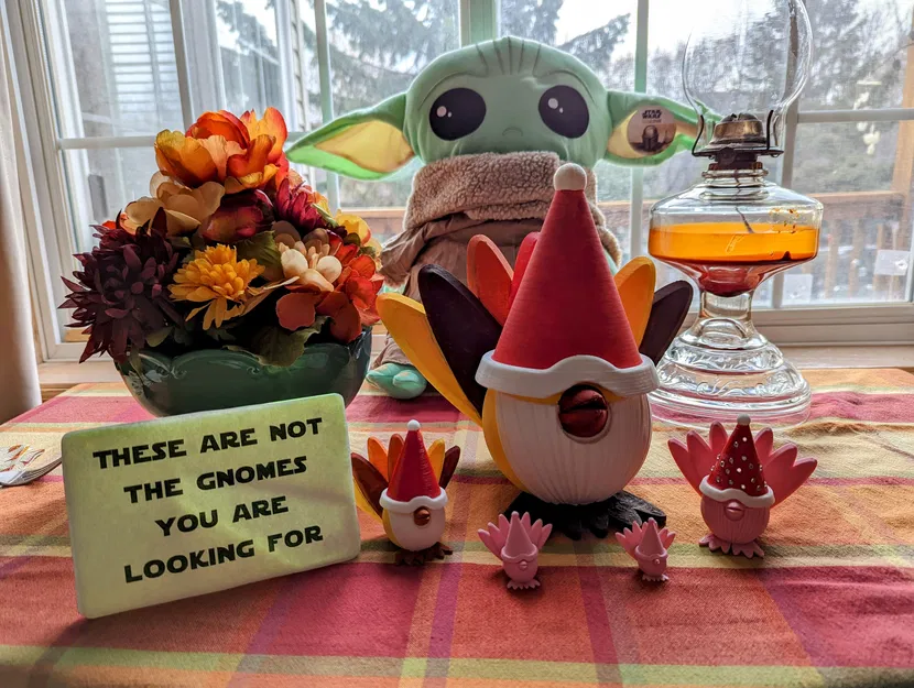 Gà Tây Cải Trang Thành Lùn - Image 13