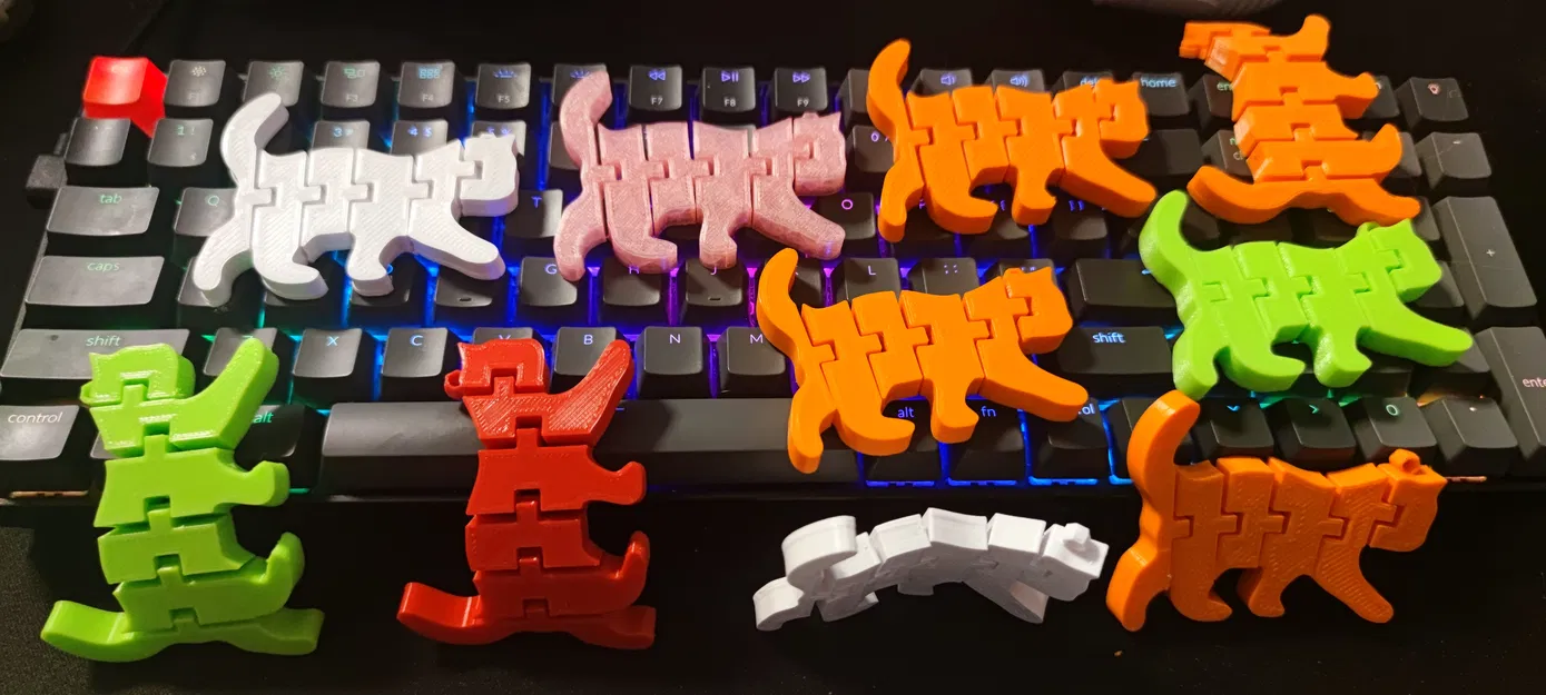 Mèo khớp nối - Image 1