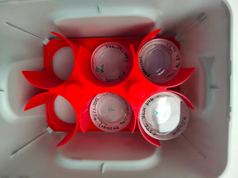 Giá đỡ/Khay lót hộp petri/Ibidi 35mm - Image 2