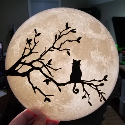 Mèo trên cành cây ngắm trăng lithophane - khúc nhạc trăng thanh