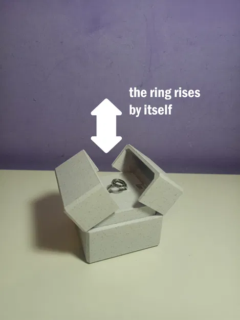 Hộp Nhẫn Nâng Lên Cơ Khí - Image 1