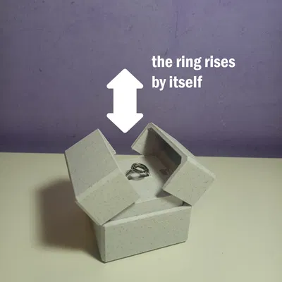 Hộp Nhẫn Nâng Lên Cơ Khí