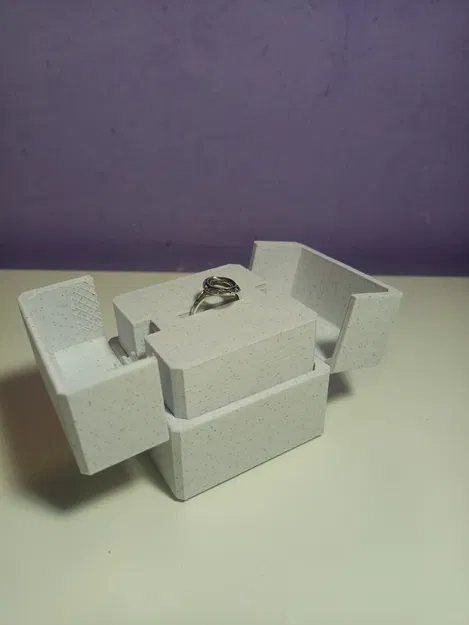 Hộp Nhẫn Nâng Lên Cơ Khí - Image 2