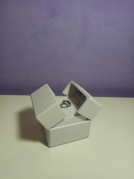 Hộp Nhẫn Nâng Lên Cơ Khí - Image 4