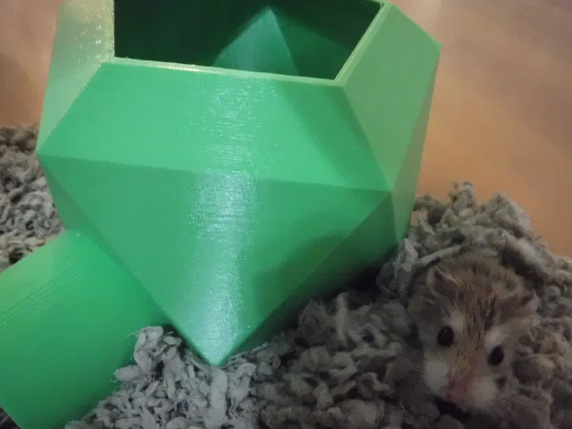 Nhà Hamster - Image 2