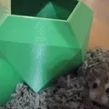 Nhà Hamster - Thumbnail 2