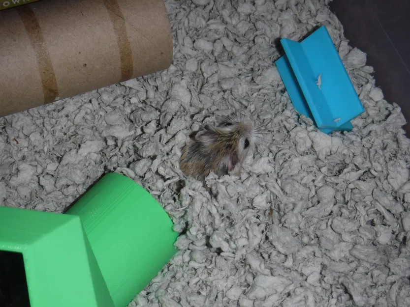 Nhà Hamster - Image 3