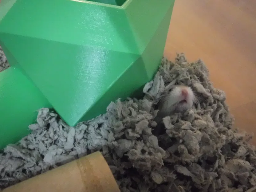 Nhà Hamster - Image 4