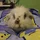 muimoon_312290