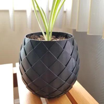 Chậu cây trứng rồng