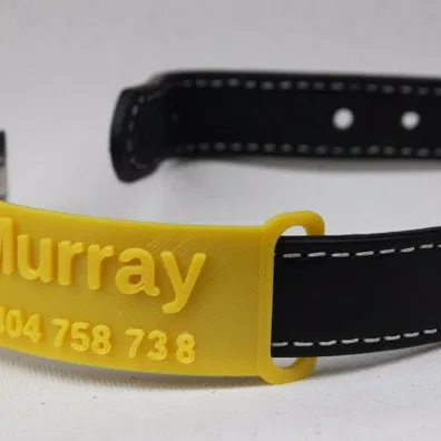 Thẻ Tên Vòng Cổ Cho Thú Cưng