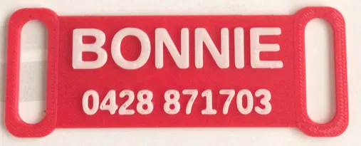 Thẻ Tên Vòng Cổ Cho Thú Cưng - Image 3