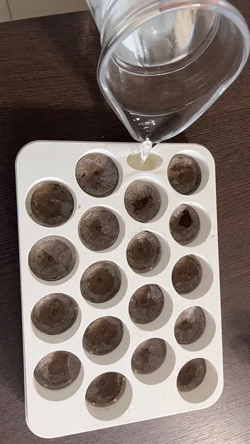 Chậu Jiffy Garden - Khay ươm hạt tiện lợi - Image 1