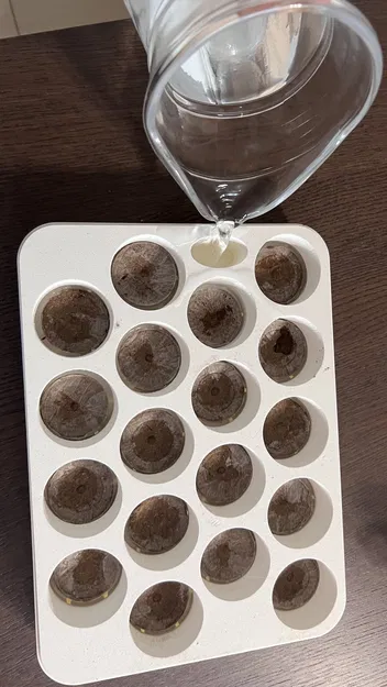 Chậu Jiffy Garden - Khay ươm hạt tiện lợi - Image 2