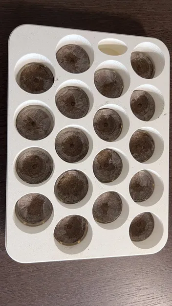 Chậu Jiffy Garden - Khay ươm hạt tiện lợi - Image 4