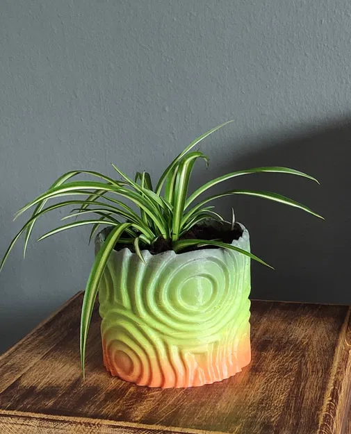 Chậu hoa thiết kế tròn - Image 1