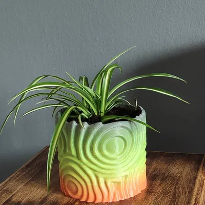 Chậu hoa thiết kế tròn