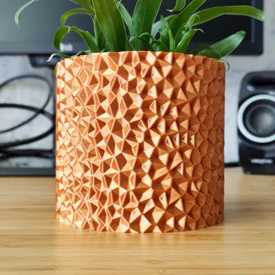 Chậu Pyrite Voronoi - Thiết kế chế độ Vase