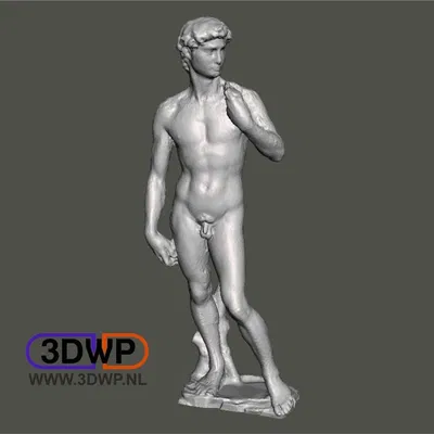 Tượng David của Michelangelo (Quét 3D Tượng)