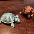 Rùa Con Dễ Thương (Cutie Baby Turtle) Có Khớp Nối - Thumbnail 1