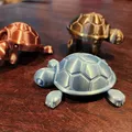Rùa Con Dễ Thương (Cutie Baby Turtle) Có Khớp Nối - Thumbnail 4