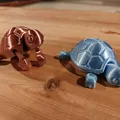 Rùa Con Dễ Thương (Cutie Baby Turtle) Có Khớp Nối - Thumbnail 5