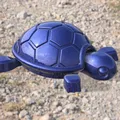 Rùa Con Dễ Thương (Cutie Baby Turtle) Có Khớp Nối - Thumbnail 9