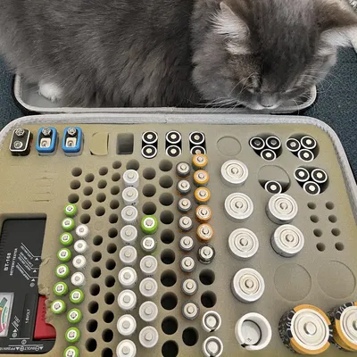 Hộp đựng pin LR44 cho khe cỡ pin AA