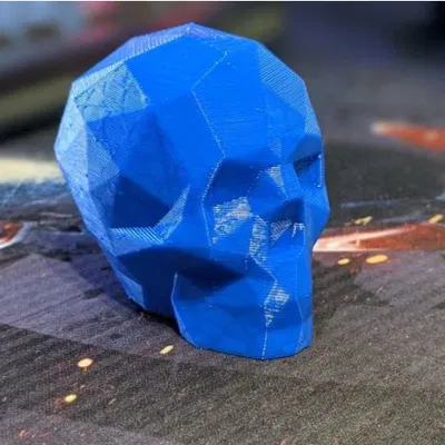 Hộp sọ Low Poly in bằng TPU