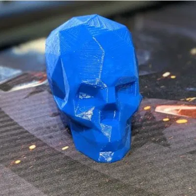 Hộp sọ Low Poly in bằng TPU