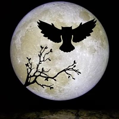 Lithophane Mặt Trăng 200mm