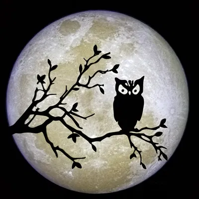 Lithophane Mặt Trăng 200mm