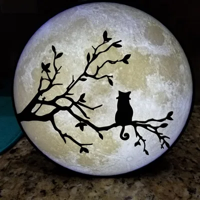 Lithophane Mặt Trăng 200mm