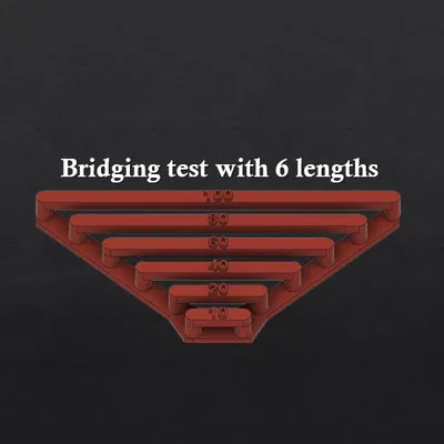 Kiểm tra Cầu nối