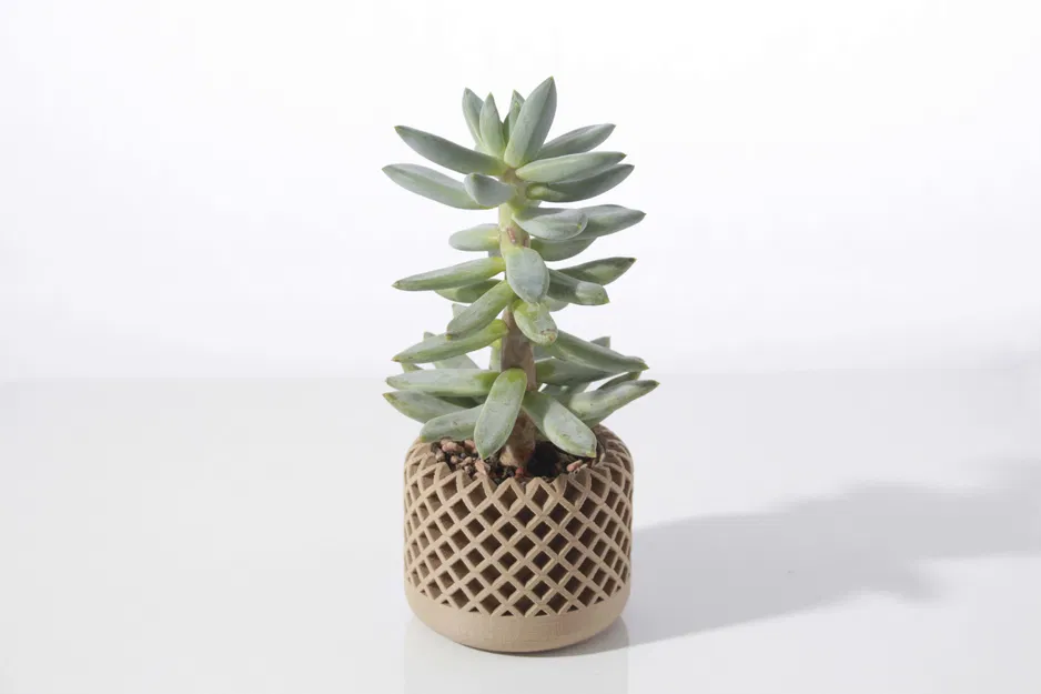 Chậu cây mọng nước hình học hiện đại - Image 2