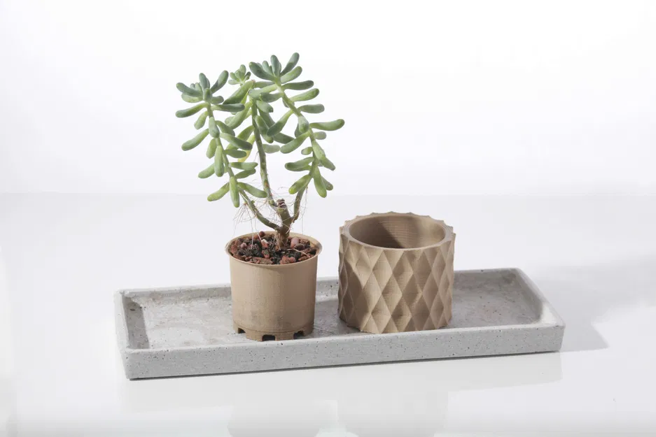 Chậu cây mọng nước hình học hiện đại - Image 5