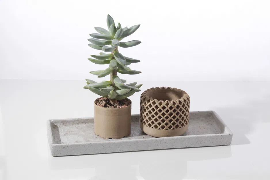 Chậu cây mọng nước hình học hiện đại - Image 6