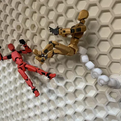 Cánh tay hiển thị linh hoạt và có thể tạo dáng cho Dummy 13 trên HSW (tường lưu trữ dạng tổ ong)