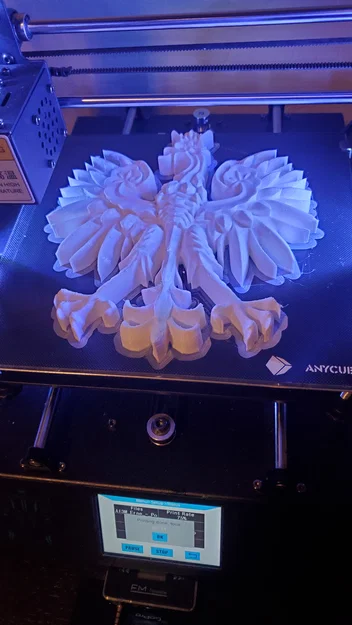 Huy hiệu Ba Lan - Image 2