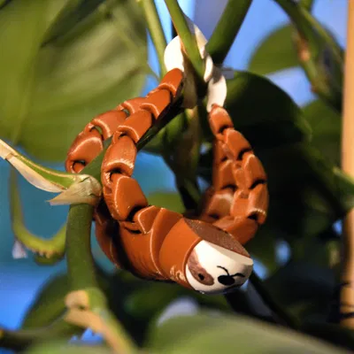 Lười Flexi - Móng Vuốt Móc Câu Để Treo!