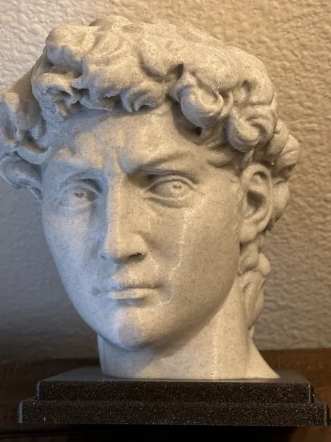 Tượng David - Đầu Tượng Kiệt Tác - Image 1