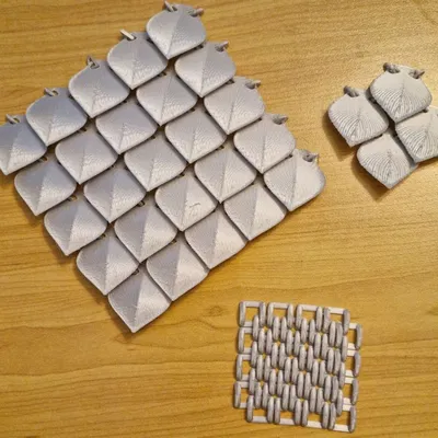 Vảy rồng dạng lưới xích